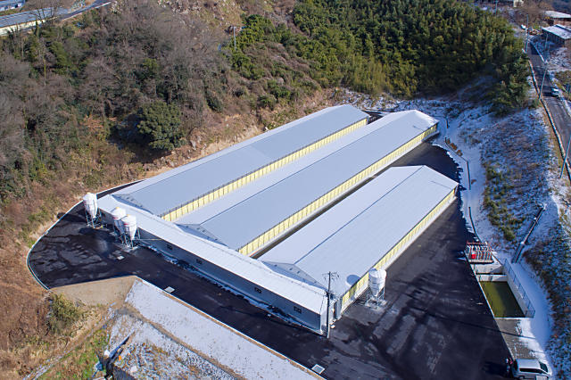 新築鶏舎の画像